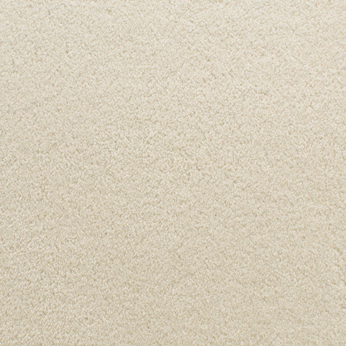 Accolade 209AC in AC03 Carpet Flooring | Fabrica