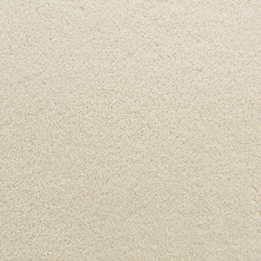 Accolade 209AC in AC03 Carpet Flooring | Fabrica