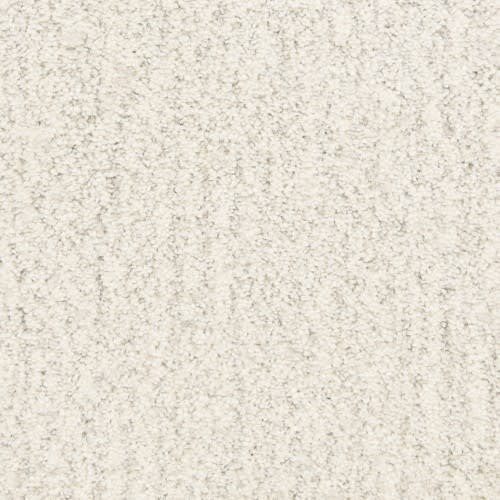 Monterey 806MY in 719MY Carpet Flooring | Fabrica