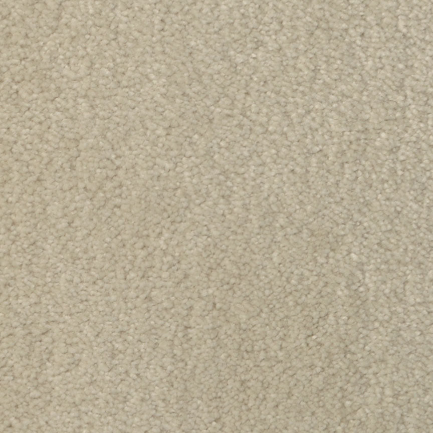 Seduction 215SD in SD22 Carpet Flooring | Fabrica