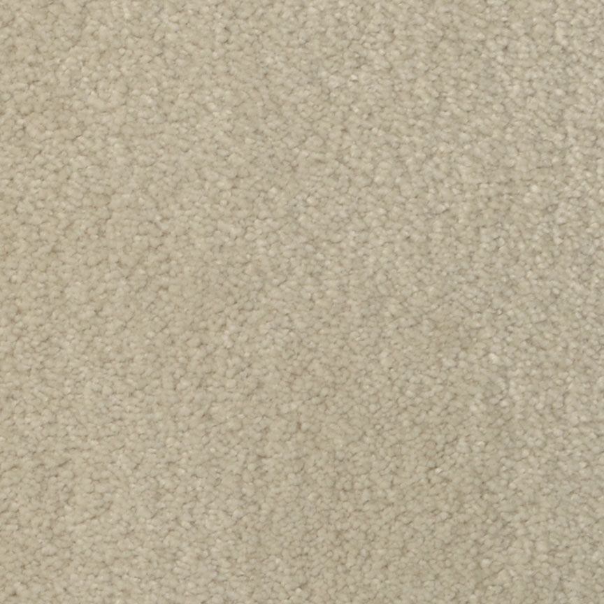 Seduction 215SD in SD22 Carpet Flooring | Fabrica