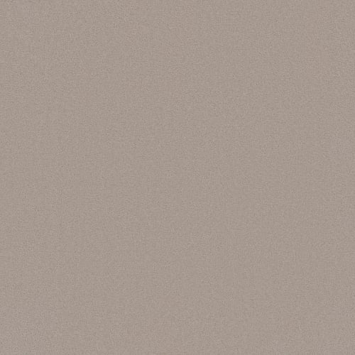 Splendore in Carpet Flooring | Fabrica