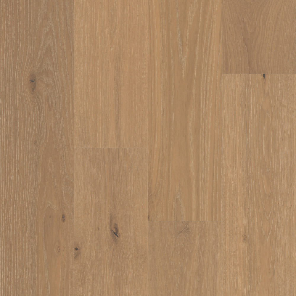 Vestige in Sonoran Oak