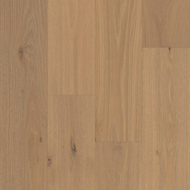 Vestige in Sonoran Oak