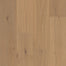 Vestige in Sonoran Oak