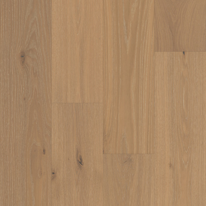 Vestige in Sonoran Oak