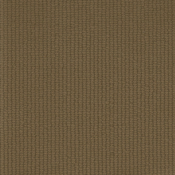 Kangaroo