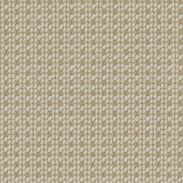Tierra