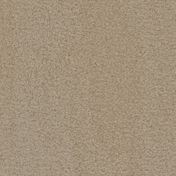 Stately Beige