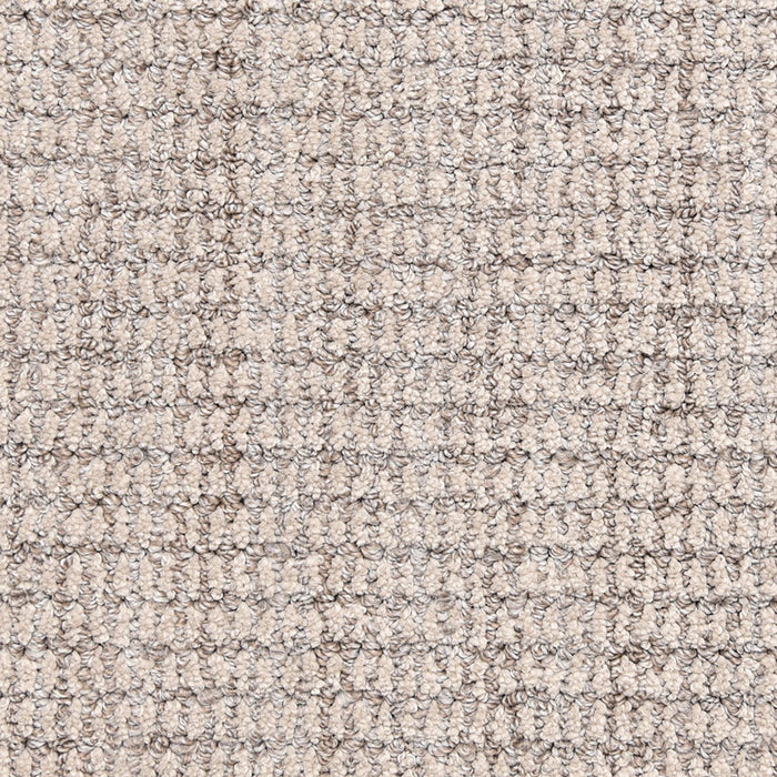 Aspen 540AS in 858AS Carpet Flooring | Fabrica