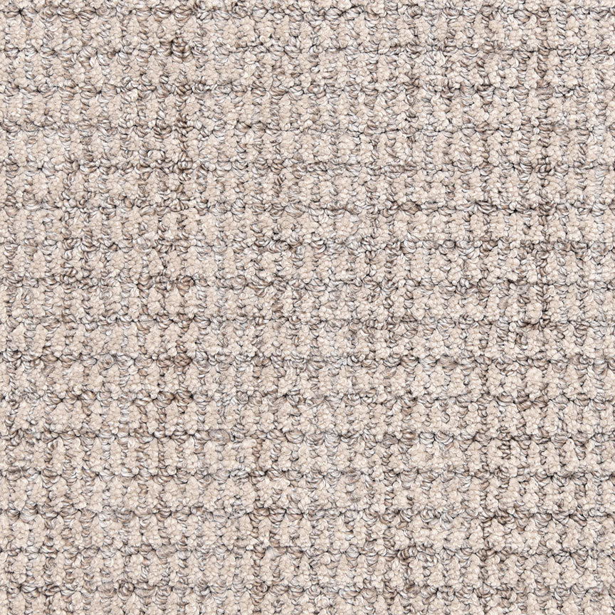 Aspen 540AS in 858AS Carpet Flooring | Fabrica