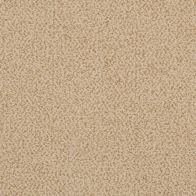Breakers 522BK in BK13 Carpet Flooring | Fabrica