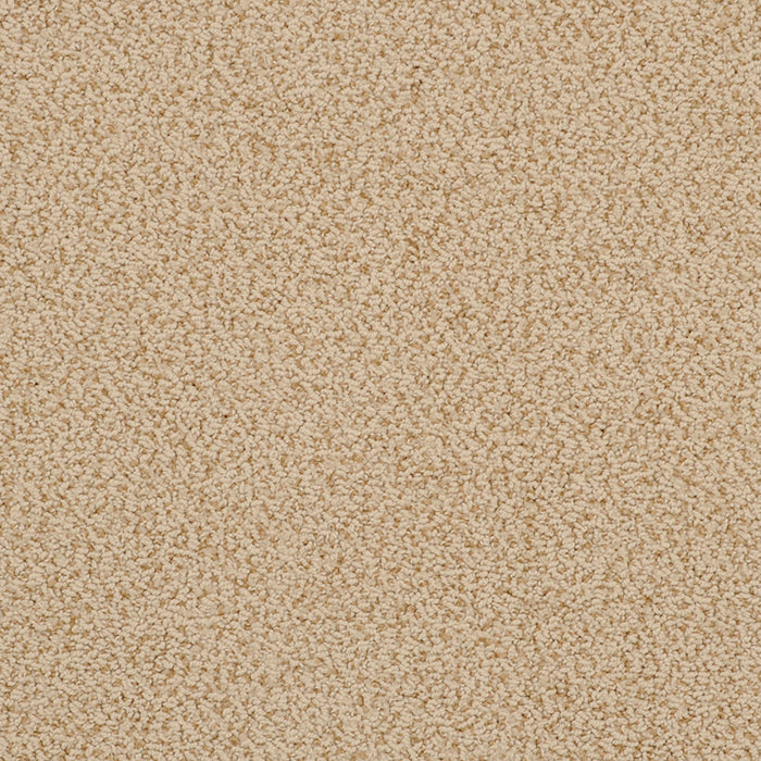 Breakers 522BK in BK13 Carpet Flooring | Fabrica