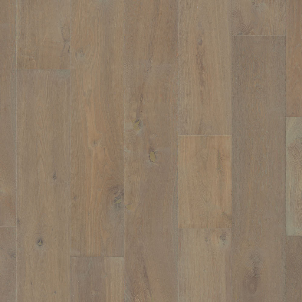 Citadel Collection in Shell | Fabrica