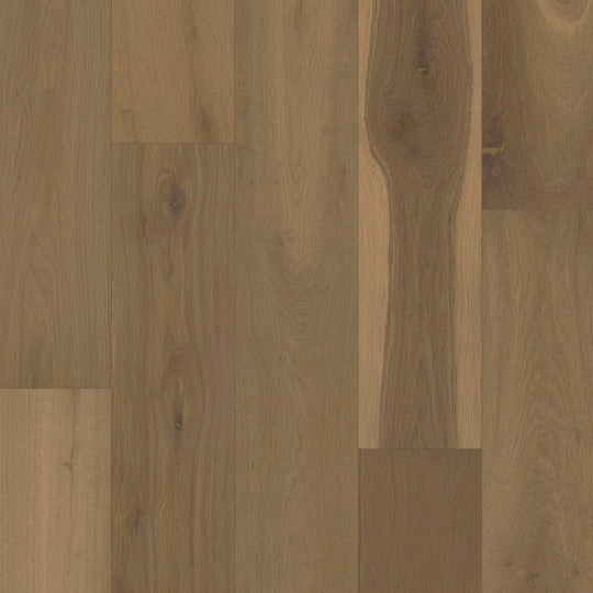 Citadel Collection in Kindle