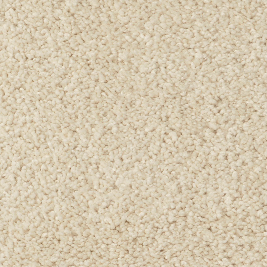 Cotton Club 803CT in CT30 Carpet Flooring | Fabrica