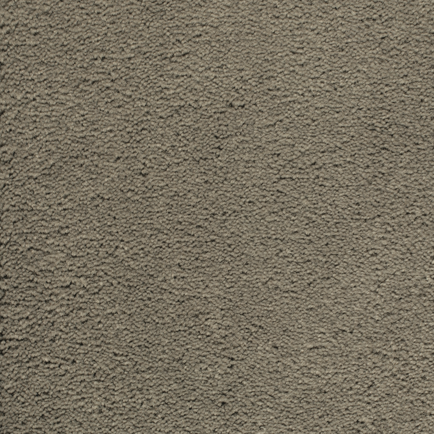 Dolce Carpet Flooring | Fabrica
