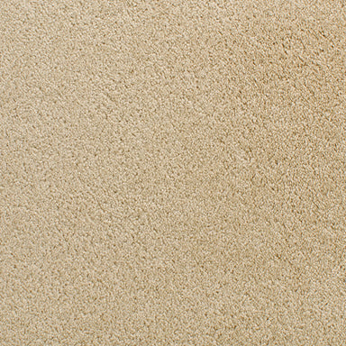 Denali 210DN in DN11 Carpet Flooring | Fabrica