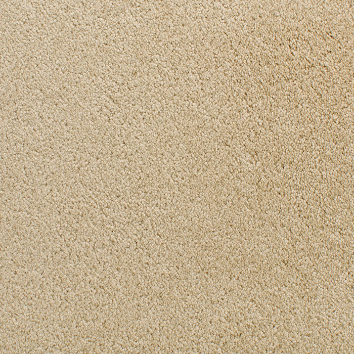 Denali 210DN in DN11 Carpet Flooring | Fabrica