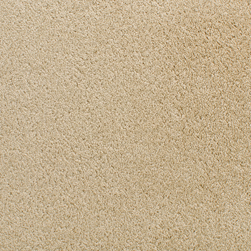 Denali 210DN in DN11 Carpet Flooring | Fabrica