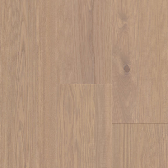 Relic Collection in Sandbar