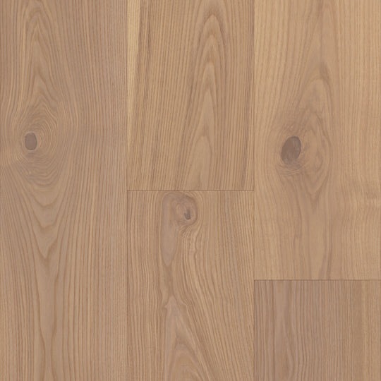 Relic Collection in Torino