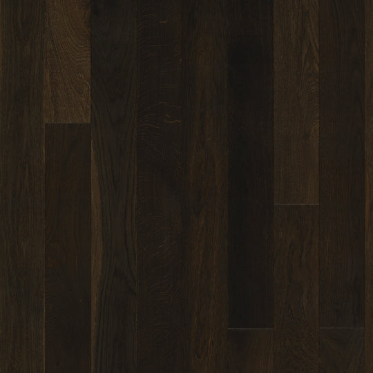 Manor Collection in Dusk