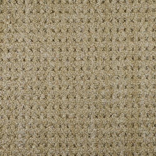 Savanna Weave 824SW in 767SW Carpet Flooring | Fabrica