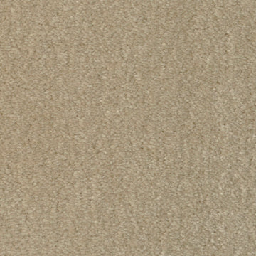 Gallery Taupe