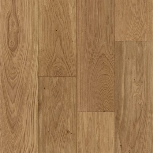 Bastion Collection in Valiant